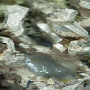 Silver with Actinolite